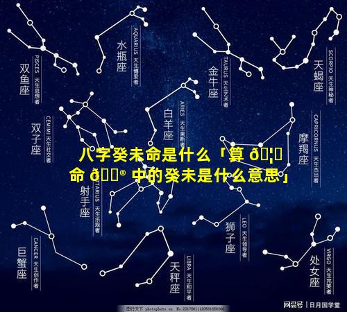 八字癸未命是什么「算 🦄 命 💮 中的癸未是什么意思」